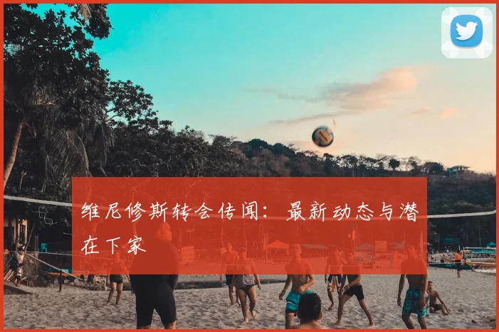 维尼修斯转会传闻：最新动态与潜在下家