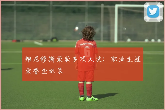 维尼修斯荣获多项大奖：职业生涯荣誉全记录
